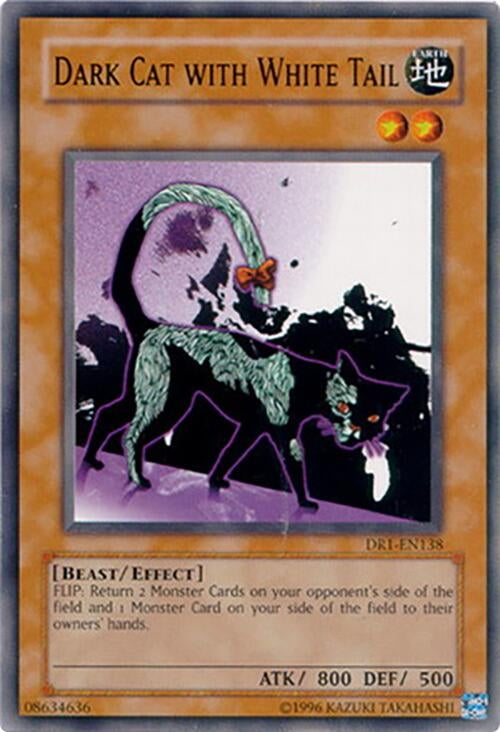 Dark Cat with White Tail (DR1-EN138)