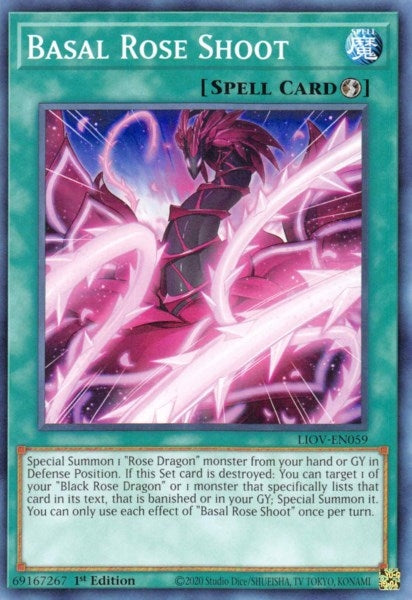 Basal Rose Shoot (LIOV-EN059) [LIOV]