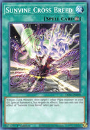 Sunvine Cross Breed (LIOV-EN099) [LIOV]