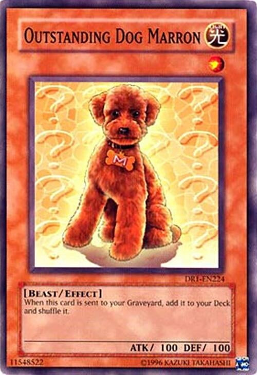 Outstanding Dog Marron (DR1-EN224)