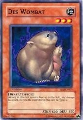 Des Wombat (TLM-EN031) [TLM]