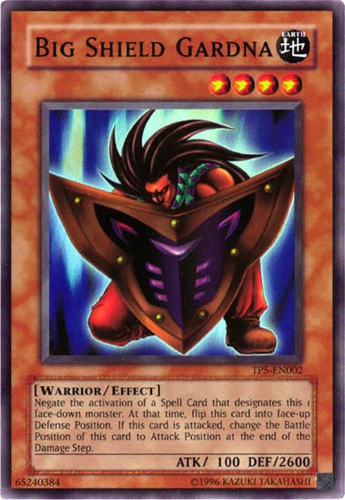 Big Shield Gardna (TP5-EN002)