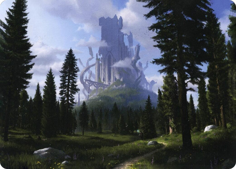 Forest 61 81 Art Card (61) [ASAFR]