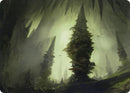 Forest 55 81 Art Card (55) [ASAFR]