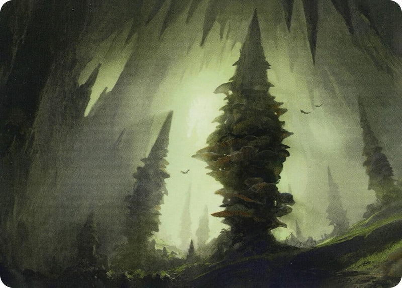 Forest 55 81 Art Card (55) [ASAFR]