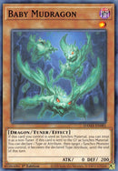 Baby Mudragon (DAMA-EN081) [DAMA]