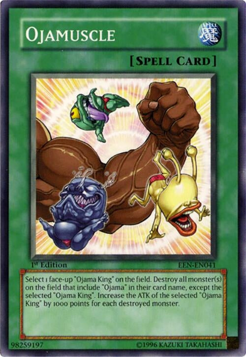 Ojamuscle (EEN-EN041)