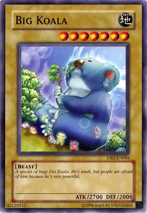 Big Koala (DR2-EN004)