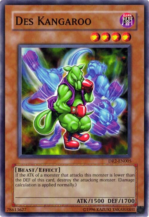 Des Kangaroo (DR2-EN005)