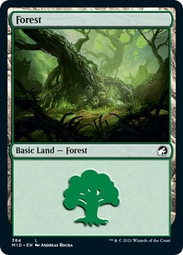 Forest 384 (384) [MID]