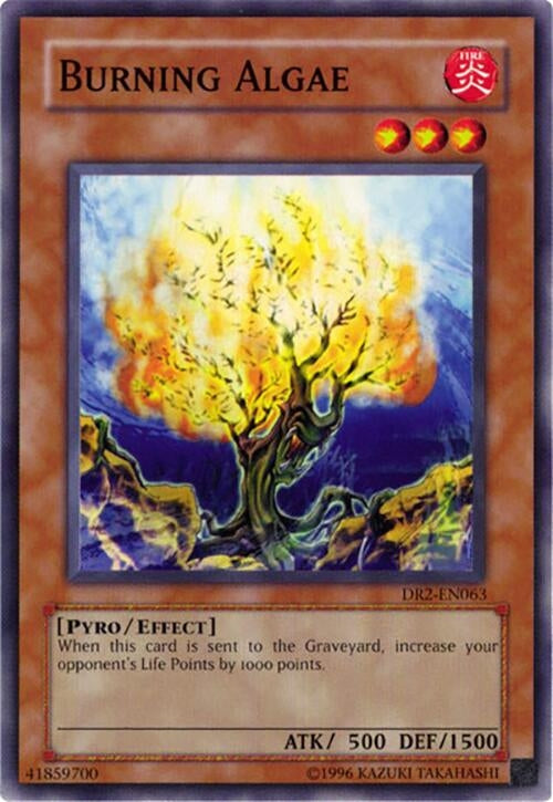 Burning Algae (DR2-EN063)