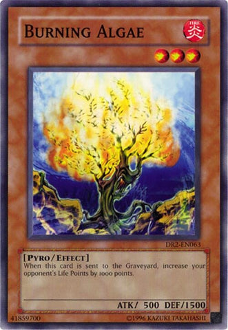 Burning Algae (DR2-EN063)