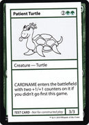 Patient Turtle No PW Symbol [CMB1]