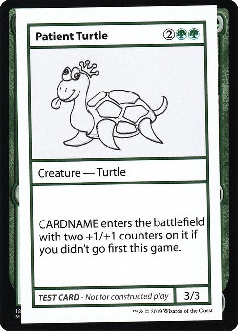 Patient Turtle No PW Symbol [CMB1]