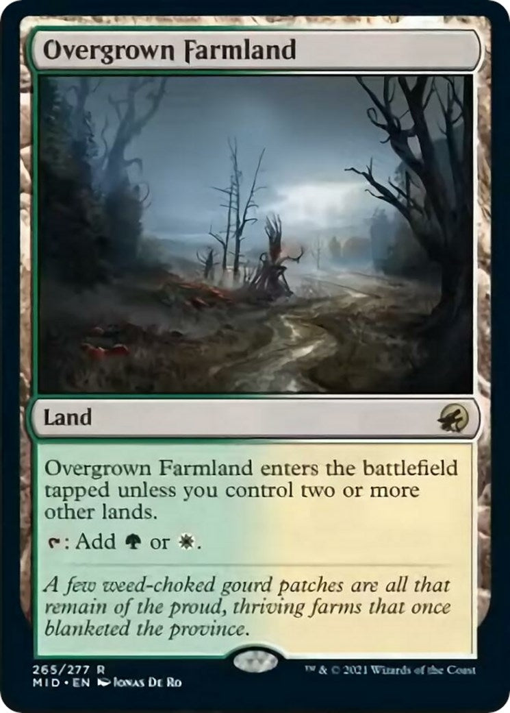 Overgrown Farmland (265) [MID]