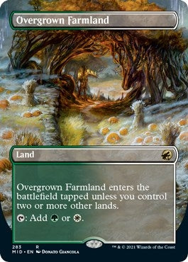Overgrown Farmland Borderless (283) [MID]