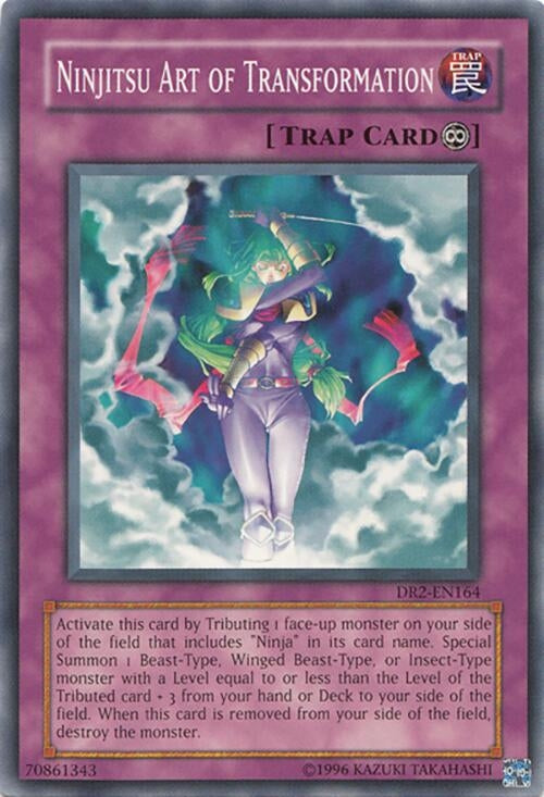 Ninjitsu Art of Transformation (DR2-EN164)