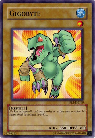 Gigobyte (DR2-EN169)