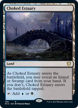 Choked Estuary (169) [MIC]