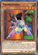 Transcicada (MP21-EN012) [MP21]