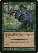 Wild Ox [P02]