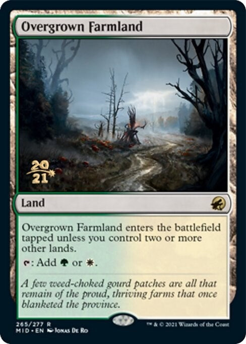 Overgrown Farmland (265) [PRE]