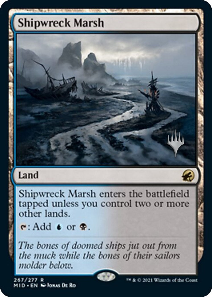 Shipwreck Marsh (267) [PPMID]