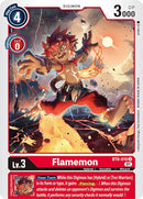 Image for Flamemon [Double Diamond]