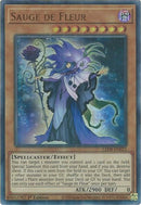 Sauge de Fleur (LED8-EN021) [LED8]