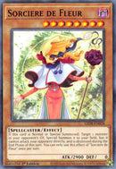 Sorciere de Fleur (LED8-EN028) [LED8]