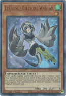 Lyrilusc Celestine Wagtail (LED8-EN036) [LED8]