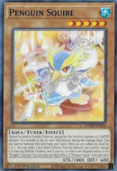 Penguin Squire (BODE-EN024) [BODE]