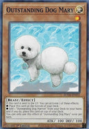 Outstanding Dog Mary (BODE-EN035) [BODE]