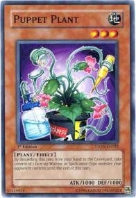 Puppet Plant (STON-EN022)
