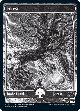 Forest Moonlit Land Foil Etched (412) [WPN]