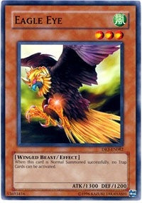 Eagle Eye (DR3-EN082)
