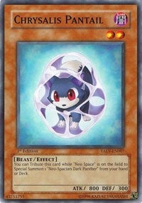 Chrysalis Pantail (TAEV-EN007)