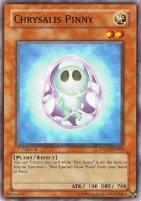 Chrysalis Pinny (TAEV-EN009)