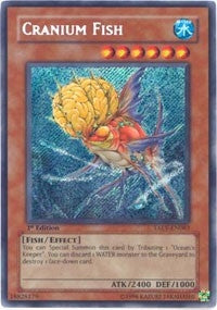 Cranium Fish (TAEV-EN083)