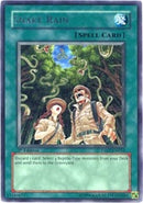 Snake Rain (TAEV-EN052)