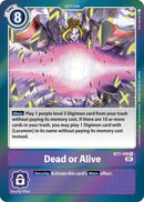 Image for Dead or Alive [Next Adventure]