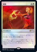 Disenchant JP Graphic Novel Insert (1) [MEDIA]