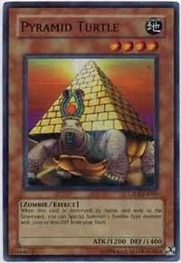 Pyramid Turtle (CP02-EN004)