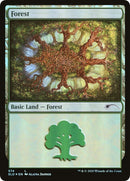 Forest 574 (574) [SLD]