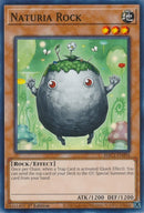 Naturia Rock (HAC1-EN094) [HAC1]