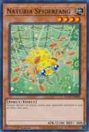 Naturia Spiderfang (HAC1-EN098) [HAC1]