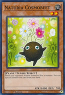 Naturia Cosmobeet (HAC1-EN100) [HAC1]
