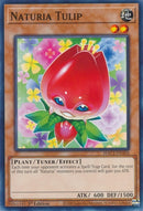 Naturia Tulip (HAC1-EN104) [HAC1]