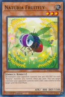 Naturia Fruitfly (HAC1-EN106) [HAC1]