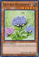 Naturia Hydrangea (HAC1-EN107) [HAC1]